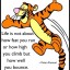 Resilience-tigger